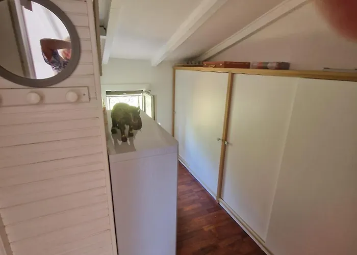 2 Vue Exceptionnelle * 提乌克西亚